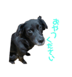 毎日女子会！（個別スタンプ：19）