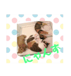 毎日女子会！（個別スタンプ：22）