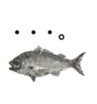 釣りStamp★SALT WATER（個別スタンプ：8）