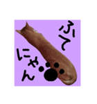 仲良し猫 クロとチョコ（個別スタンプ：19）