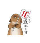 遅刻の言い訳うさぎ（個別スタンプ：17）