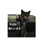 ももとかぶき2人は仲良し！3！（個別スタンプ：10）