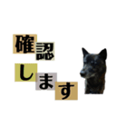 ももとかぶき2人は仲良し！3！（個別スタンプ：13）