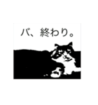 ねこのすたんぷまる（個別スタンプ：3）