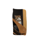 ねこのすたんぷまる（個別スタンプ：5）