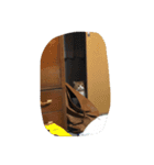 ねこのすたんぷまる（個別スタンプ：6）