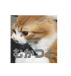 ねこのすたんぷまる（個別スタンプ：8）