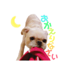 我が家のだいおも（個別スタンプ：6）