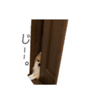 ポン助2（個別スタンプ：2）