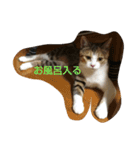 おビビスタンプ（個別スタンプ：6）