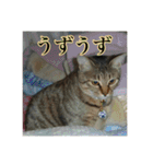 ここあとももよのスタンプ2（個別スタンプ：2）