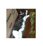 ここあとももよのスタンプ2（個別スタンプ：3）