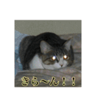 ここあとももよのスタンプ2（個別スタンプ：4）