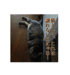 ここあとももよのスタンプ2（個別スタンプ：5）