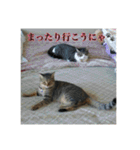 ここあとももよのスタンプ2（個別スタンプ：8）
