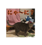 ここあとももよのスタンプ2（個別スタンプ：13）