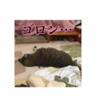 ここあとももよのスタンプ2（個別スタンプ：15）