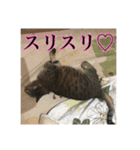 ここあとももよのスタンプ2（個別スタンプ：16）