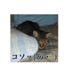 ここあとももよのスタンプ2（個別スタンプ：18）