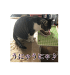 ここあとももよのスタンプ2（個別スタンプ：27）