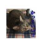 ここあとももよのスタンプ2（個別スタンプ：32）