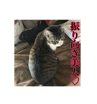 ここあとももよのスタンプ2（個別スタンプ：34）