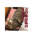 ここあとももよのスタンプ2（個別スタンプ：40）