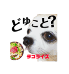 日下部家のスニフ（個別スタンプ：24）