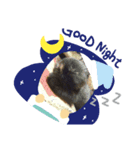 マルニャンズ（個別スタンプ：4）