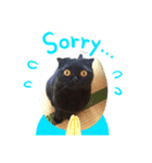 マルニャンズ（個別スタンプ：6）