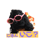 大好きキャバリアと仲間達（個別スタンプ：4）