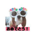 大好きキャバリアと仲間達（個別スタンプ：18）