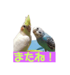 大好きキャバリアと仲間達（個別スタンプ：22）