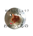 毎日のご飯（個別スタンプ：13）