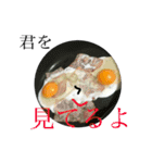 毎日のご飯（個別スタンプ：16）