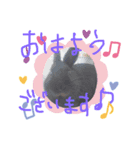 黒うさぎさん挨拶スタンプ（個別スタンプ：5）