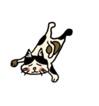 猫なスタンプ（個別スタンプ：3）