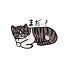 猫なスタンプ（個別スタンプ：4）