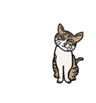 猫なスタンプ（個別スタンプ：12）