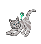 猫なスタンプ（個別スタンプ：13）