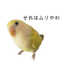 関西弁のコザクラインコ（個別スタンプ：9）