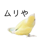 関西弁のコザクラインコ（個別スタンプ：10）