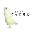関西弁のコザクラインコ（個別スタンプ：35）