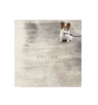 現実逃避がちのパピヨン。（個別スタンプ：3）
