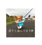 現実逃避がちのパピヨン。（個別スタンプ：18）