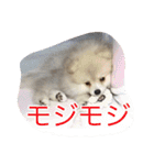 ウル君の日常③（個別スタンプ：3）