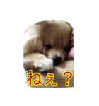 ウル君の日常③（個別スタンプ：4）