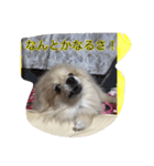 ウル君の日常③（個別スタンプ：8）