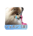 ウル君の日常③（個別スタンプ：11）