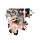 ウル君の日常③（個別スタンプ：13）